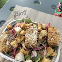   at The Plot Express in Carlsbad