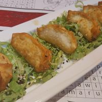Gyoza at Ramen House in Bogota