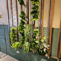  at Vege Creek - 蔬河 內湖瑞光店  in Taipei