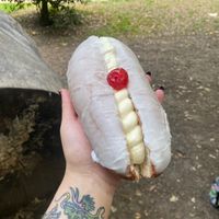  at BEK in Southampton