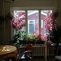  at Kahvila Koroinen in Turku