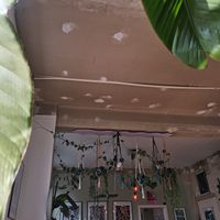 Gemütliche Atmosphären at Café Pfusch in Leipzig