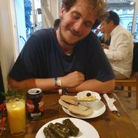 Vine leaves with hummus and pitta at Dinosaur Cafe in Exeter