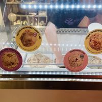 Variety of vegan flavor options  at Van Leeuwen Ice Cream - 18th St NW in Washington