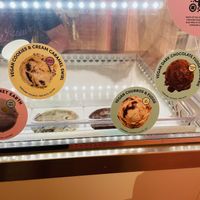 Variety of flavor options   at Van Leeuwen Ice Cream - 18th St NW in Washington