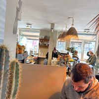 Innen  at Blue Zone Espresso in Zandvoort