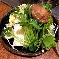 Groenten at Shishabu Shabu Aoyagi - 志ゃぶしゃぶ 青柳 in Nakatsugawa