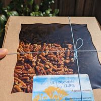 Sticky buns in cute packaging  at The Compassionate Crumb in Mountain View