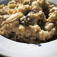 Mushrooms risotto at Cozinha da Mãe Terra in Montemor-o-novo