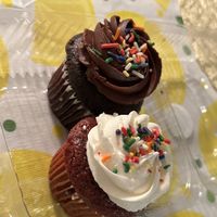 Vegan Chocolate Cupcake and Vegan Red Velvet Cupcake 🧁   at Bakeshop in Washington