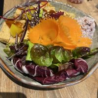 Main with tofu  at To1980 Vegan - Pempelfort in Dusseldorf