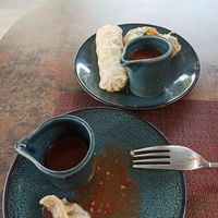 Vegan Gyoza (4 were served) and Spring Rolls at Kenkō in La Marsa