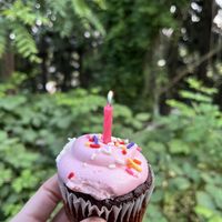   at Petunia's Pies and Pastries in Portland