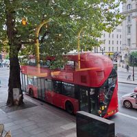  at The Veg Box Cafe - London in North West London