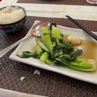 "Chinese vegetable". Pak choi is indeed a Chinese vegetable. at Zhong Yi in Rome