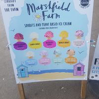 Flavours 👍 at Chill At Planet Ice Cream in Scarborough