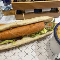  Green Dog  at Kurz & Gut - Gaudi in Barcelona