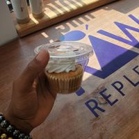 Carrot 🥕 cupcake at Raw Replenish - Maybe closed in Royersford