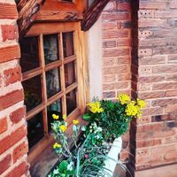 Presença de muitas plantas, flores. A natureza é muito presente no Yellow deli. at The Yellow Deli in Londrina