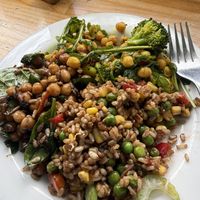 Mixed salad  at The Happy Frog in Coffs Harbour