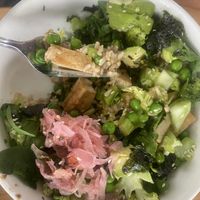   at The Happy Frog in Coffs Harbour