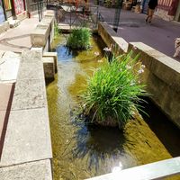 Little stream in the street. at À Tantôt in Rouen