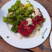 Red beet dumplings with salad at Dr Heinrich Hackelhütte in Werfenweng
