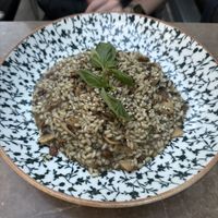 Mushroom Risotto  at Babi - Resto Bar & Wine in Tivat