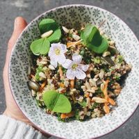  at Pinakarri in Luzern