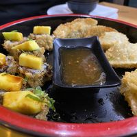 Hot Roll starter and Fried Gyoza starter  at Vegan Sushi House  in Lisbon