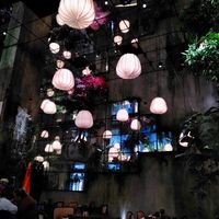 Tolle Einrichtung  at Negishi Sushi Bar - The Circle in Kloten