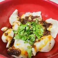Veg dumplings   at Spicy Village in New York City