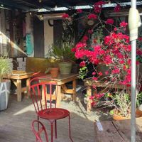 Back patio   at Cafecito Organico  in Los Angeles