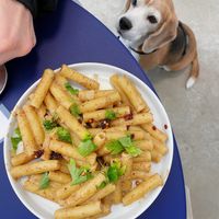 creamy cheeze pasta 🍝   at Breadbox in Munich