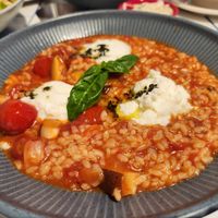 Tomato rissotto at You Are What You Eat in Seoul