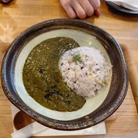 Spinach curry at Sonoma in Miyajima