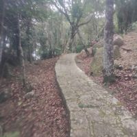  at Spitfire - Lagoa in Florianopolis