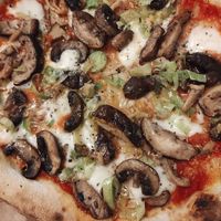 Zoom in the cogumelos at Spitfire - Lagoa in Florianopolis