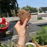   at Cannon Coffee in Hamilton