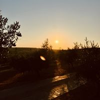   at Olive Garden - Ulika Maslinik in Krk