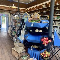   at Chicory Blue in Lunenburg