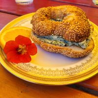 Bagel with vegan cream cheese at Chicory Blue in Lunenburg