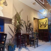   at Le Cafe de Chat Noir in Mersin