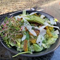 Salad at East St Cafe and Bar in Nelson