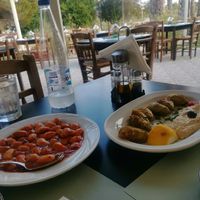  at Ilia's Orchard in Skiathos