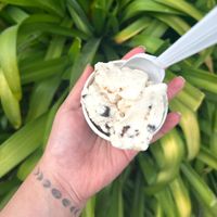   at CREAM in Berkeley