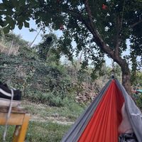 Hammocks dotted all around the garden   at The House in the Village in Pellumbas