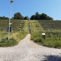 The stairs (from the land side) at Hotel Landgasthof Halbinsel Au in Waedenswil
