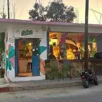  at Selva Taqueria Plantbased in Cabo San Lucas