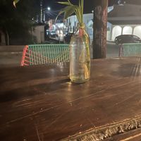   at Selva Taqueria Plantbased in Cabo San Lucas